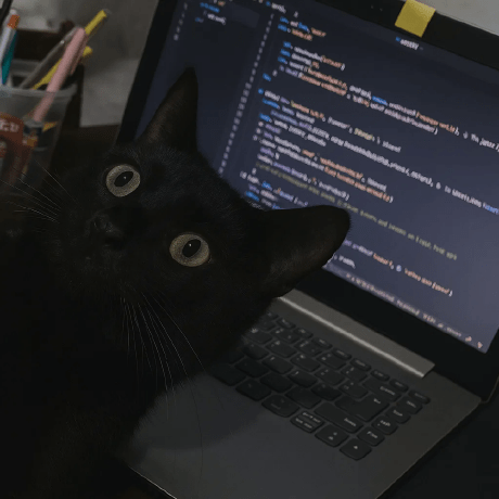 Github Pyyupsk Windsurf Installer A Simple Bash Script To Install - Premium Minimal Art Gallery - 4K