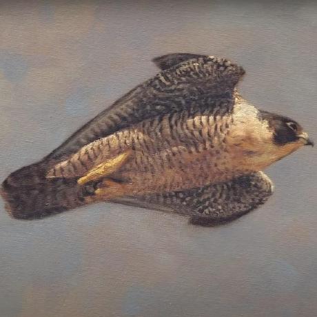 Github Yxnan Block L4d2 Rpg Servers Repo Rpg - Colorful Arts - Professional Desktop Collection