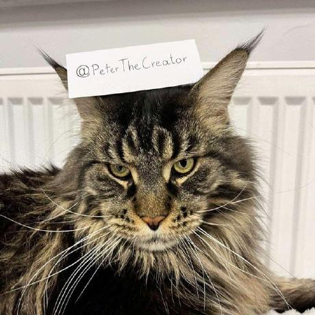 Nogi Github - Best Nature Textures in Desktop