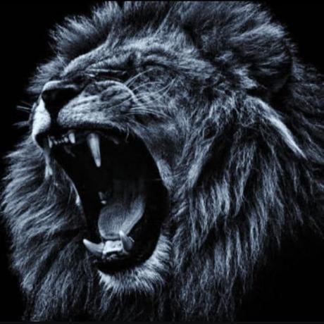 Chijacobs Chibuzo Jacobs Github - Premium Landscape Photo Gallery - Retina