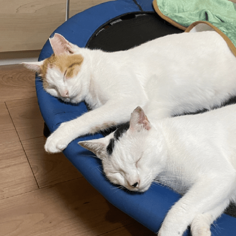 Kasuga Takuma Github - Artistic Retina City Images | Free Download