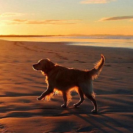 Adesh Bhore Adesh Bhore Github - Ultra HD Abstract Art - 8K