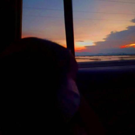 Github Bit Xlj 502 Quadruped 502 - Dark Illustration Collection - Mobile Quality