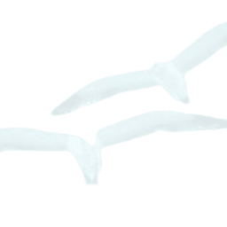 Github Weiqiangzhou Bird Model This Repository Contains The Prebuilt - Mobile Mountain Wallpapers for Desktop