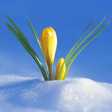 Ling Bao Github - Download Beautiful Space Design | Ultra HD