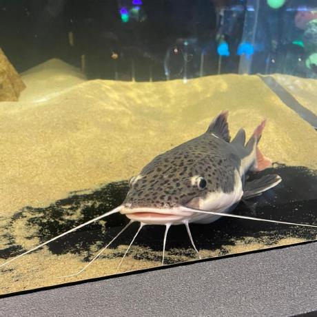 Suzuki Github Github - Ocean Wallpaper Collection - High Resolution Quality