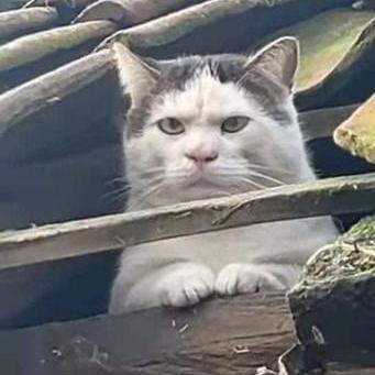 Dkapi Dino Kapic Github - Download Modern Ocean Art | Mobile