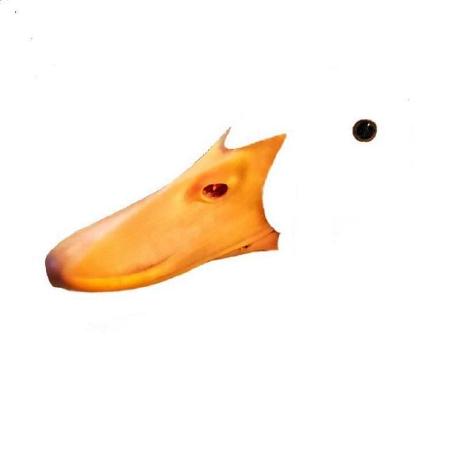 Github Kr Codingmonkey Wrinkle Analysis - Minimal Illustration Collection - High Resolution Quality