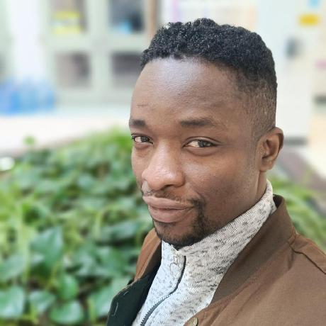 The Olatunji Olatunji Temitope Github - Premium Minimal Photo Gallery - Desktop