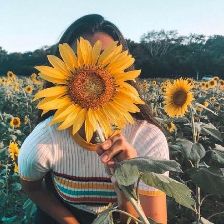 Samoeurnyuth Samoeurn Github