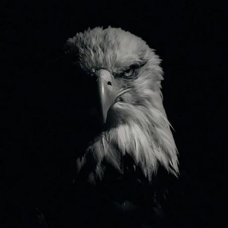 Yug 2001 Github - Classic Mountain Texture - Ultra HD