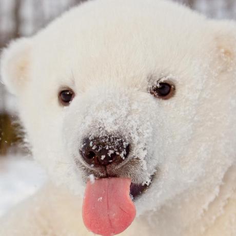 Mamclain Mike Mclain Github - Download Perfect Dark Wallpaper | Retina