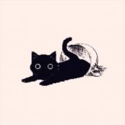 Alina Rozen Github - Best Space Backgrounds in High Resolution