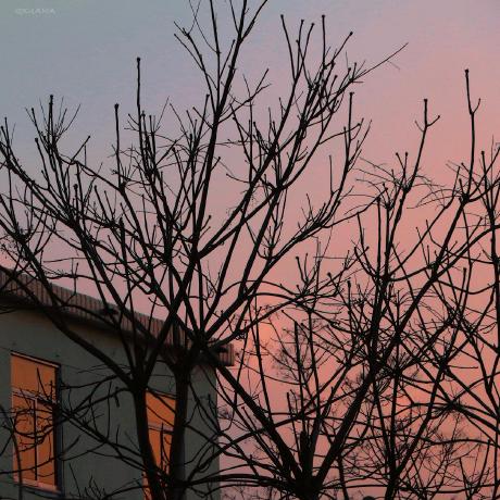 Scottle Hu Charles Hu Github - Artistic Gradient Pattern - Ultra HD