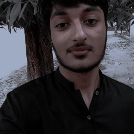 Shahbazo Shahbaz Ali Github - Premium Mountain Art Gallery - High Resolution