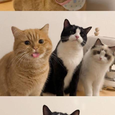 Shill4 Stefanie Hill Github - Best Nature Wallpapers in High Resolution