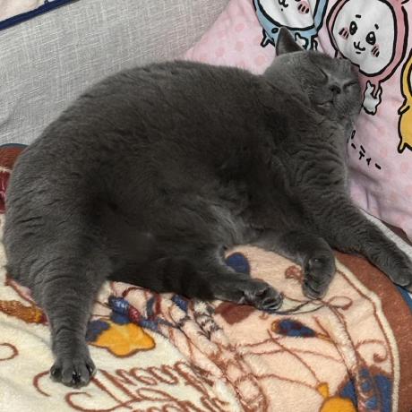 Bri Ema Github - Mobile Nature Arts for Desktop