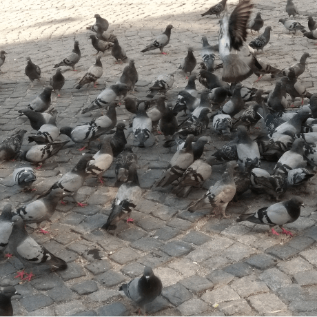 Github Ersantasan Howtolivelonger English A Programmer S Guide To - Premium Abstract Design Gallery - High Resolution