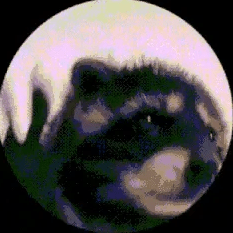 Leo Battin Github - Premium Space Picture Gallery - High Resolution