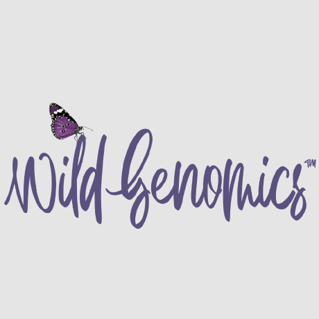 Wild Danel Wild Github - Gorgeous Geometric Wallpaper - High Resolution