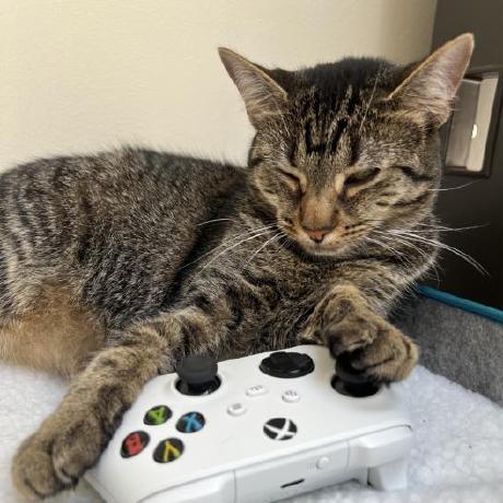 Tiva Solutions Github - Download Incredible Landscape Texture | 4K