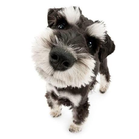 Zyovn Jeongbin Joo Github