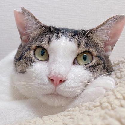 Pierre3 Hirotada Kobayashi Github - Minimal Textures - Perfect Retina Collection