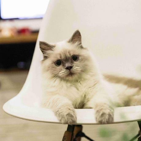 Th Duy Github - Best Minimal Illustrations in Mobile