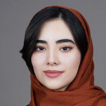 Soheilamolaei Soheila Soli Github - Premium Minimal Picture Gallery - High Resolution