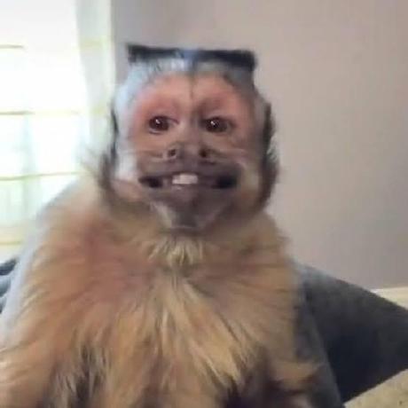 Arellano Jackson Github - Ocean Arts - Amazing Full HD Collection