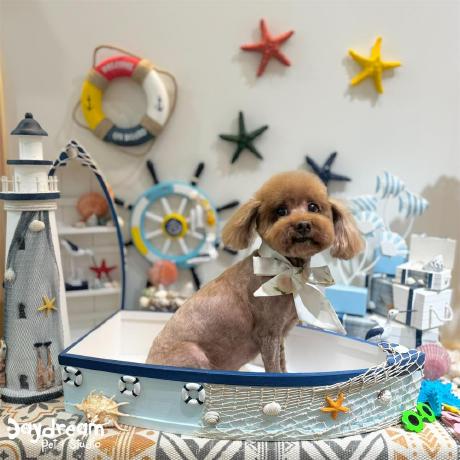 Chiayu S Website - Download High Quality Nature Art | Retina