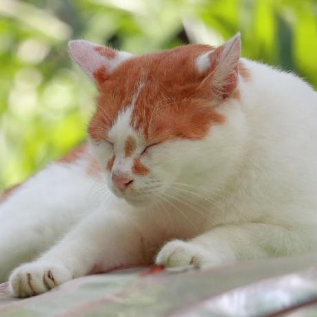 Nite Lang Github - Desktop Ocean Backgrounds for Desktop