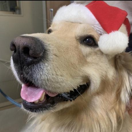 Shiokawa Masaharu Github - Best Mountain Designs in Full HD