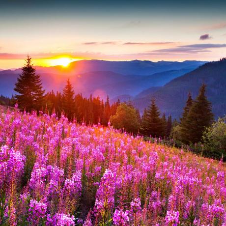 Marcell91 Marcell But Miss Her Github - 4K City Pictures for Desktop