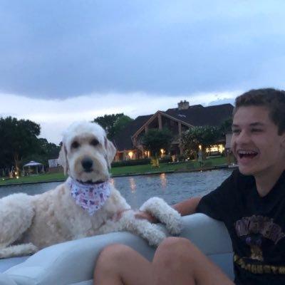 Zack Probuiltsoftware Github - 4K Sunset Arts for Desktop