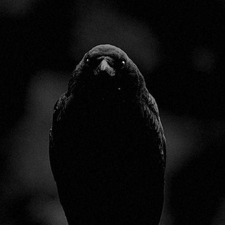 Agmabou Agus Github - Light Design Collection - Ultra HD Quality