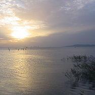 Chunxiaole Chunxiao Github - Ultra HD Light Textures for Desktop