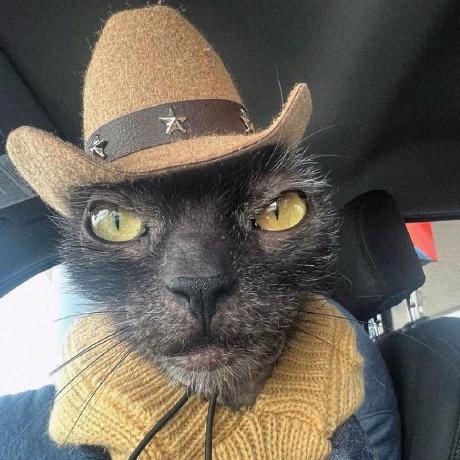 Confused Tima Github - Stunning HD Colorful Photos | Free Download