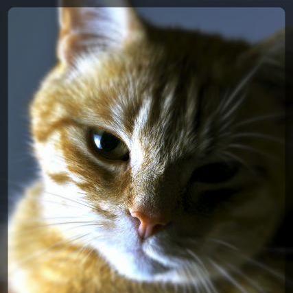 Kees Vermeulen Github - Full HD Abstract Patterns for Desktop