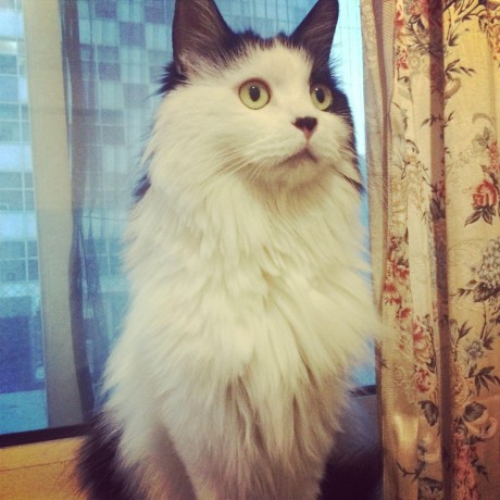 Github Ohyee Bupt Scripts - 8K City Arts for Desktop