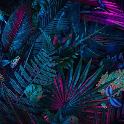 Elastoo Team Github - Download Amazing Nature Background | 4K