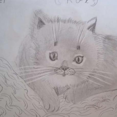 Releases Super3 Zmine Github - Minimal Backgrounds - Incredible Retina Collection