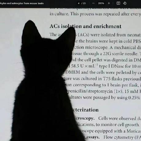 Yexuanxiao Yexuan Xiao Github - Incredible Full HD City Backgrounds | Free Download