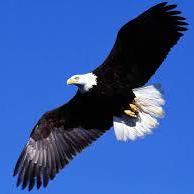 GitHub - Hunterzju/llvm-tutorial: Llvm-tutorial文档，翻译以及代码仓库