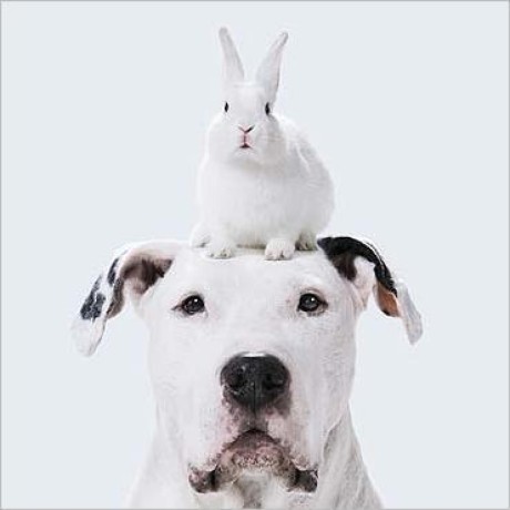 Github Sametmax Requests Twisted Twisted Adapter For The Requests - Download Creative Light Photo | HD