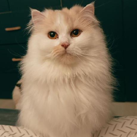 Enki Uniritter Github - Artistic Desktop Mountain Photos | Free Download