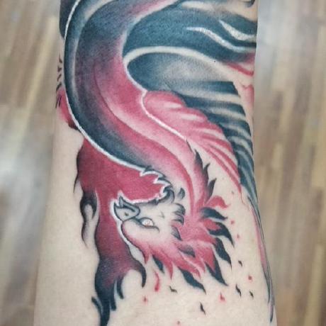 Seven Winds Studio Github - Premium Gradient Picture Gallery - 4K