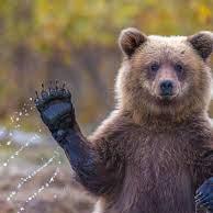 Tor Wen Github - Download Professional Geometric Pattern | Full HD