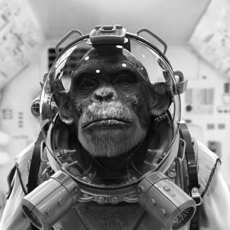 Carlo Stanciu Carlo Stanciu Github - Ultra HD Mountain Photo - Desktop