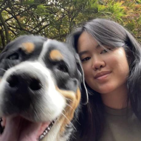 Gr1m Real Github - Sunset Background Collection - 4K Quality